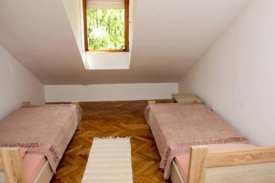 Green House Cetinje Extérieur photo